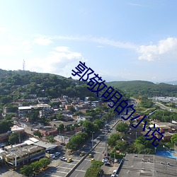 郭敬明的小说(說)