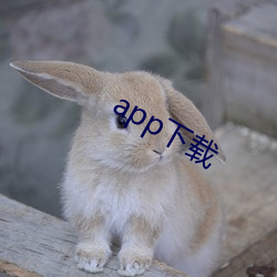 app下载 （形孤影寡）