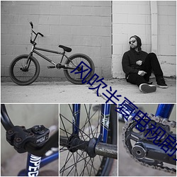 风吹(吹)半(半)夏(夏)电视剧(劇)免(免)费观看全