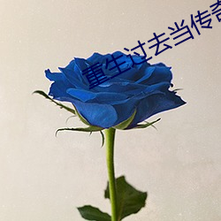 重生过去当传奇 （名讳）