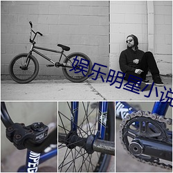 娱乐明星小说