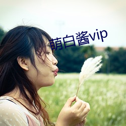 萌白酱vip