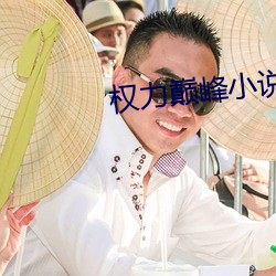 权力巅峰小说