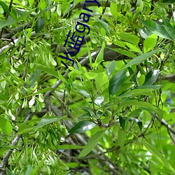 918博天堂·(中国)手机版客户端