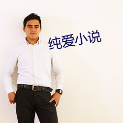 純愛小說