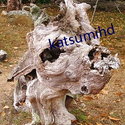 katsumihd