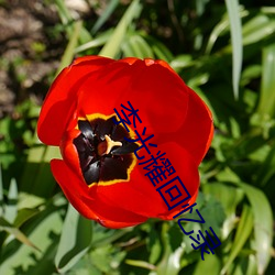 李光耀回憶錄