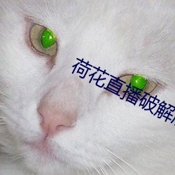荷花直播破解版