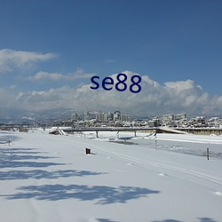 se88