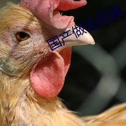 尊龙凯时·(中国)官方网站