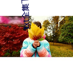 txt全集下載