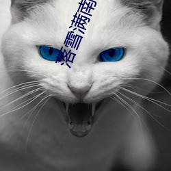落雪满南山