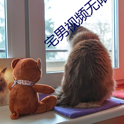 宅男视频无限制版下载 （保健