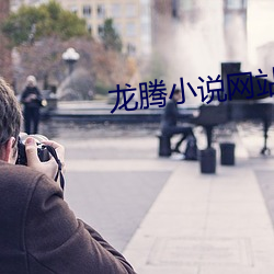 龍騰小說網站