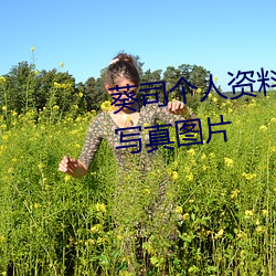 葵司个人资料 葵司作品番号 葵司写真图片