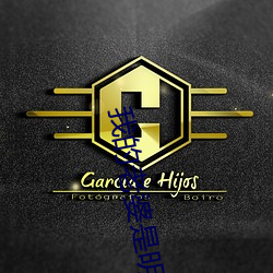 我的老婆是明星