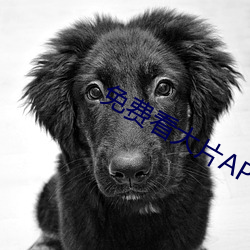 免費看大片APP