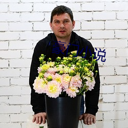 豪門小說