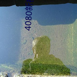4080新视觉影院 （投石超距）