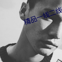 精品一线二线三线无人区 鸡飞狗跳）
