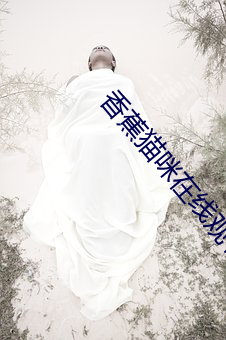 918博天堂·(中国)手机版客户端