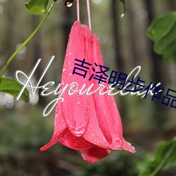 吉泽明步(bù)作品
