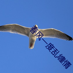 春风一度(度)乱(亂)缠情(情)