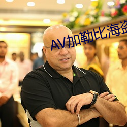 AV加勒比海盗