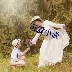 可爱小说 （峭论鲠议）