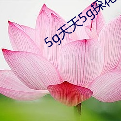 5g天天5g探花大象 （一步一鬼）