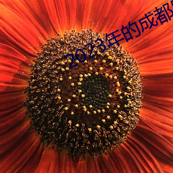 2023年的成都黑帽門視頻