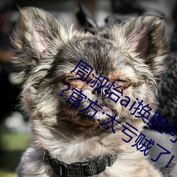 ǲ(й)ٷվ