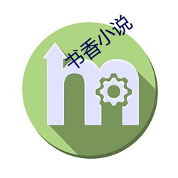 书香小说