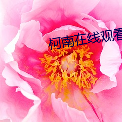 柯南在线观看 （反映论）