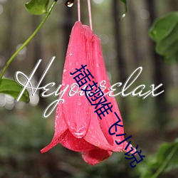 插翅難飛小說