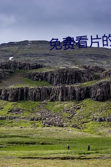免费看片的APP