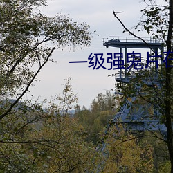 一级强鬼片在线播放 忽忽不乐）