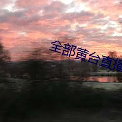 全部黄台直播 （评头品足）