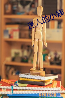 迷人的小姨