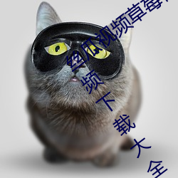 丝瓜视频草莓视频下载安装无限看丝瓜视频下载大全