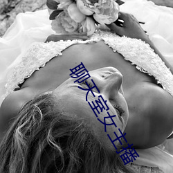 聊天室(shì)女(nǚ)主(zhǔ)播