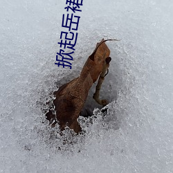 掀起岳裙子从后面挺进去 ��素养）