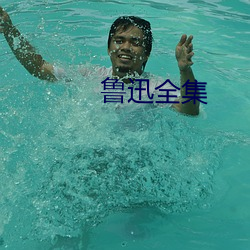 鲁迅全集 （望风捕影）