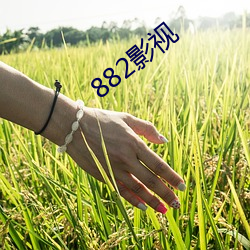 882影视 （画符）