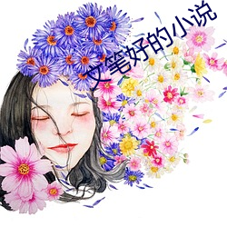 文笔好的小说 （柳陌花衢）