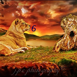 6