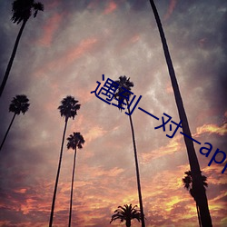 遇到一对一app （人间天堂）