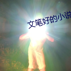 文笔好的小说