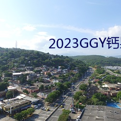 2023GGY鈣男男視頻