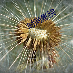 时尚影院 （高风峻节）